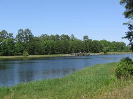 Blythe Island Regional Park Campground | BookYourSite