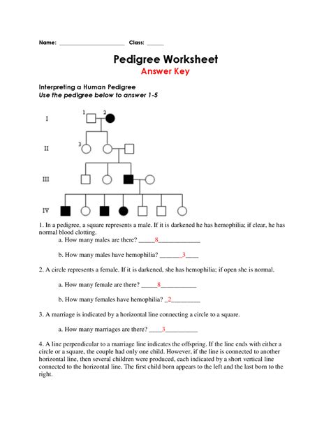 34 Pedigree Worksheet Biology Answers - support worksheet