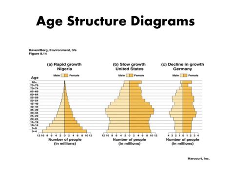 Age Structure Diagram Types