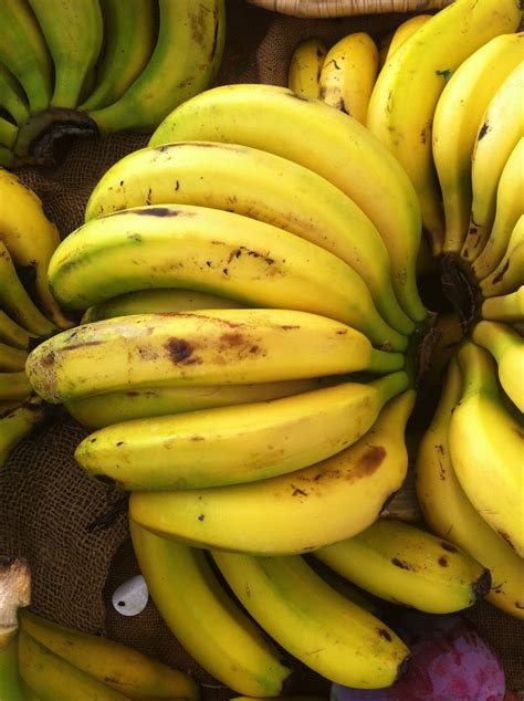 Organic Bananas (0.5Kg) | Los Hortelanos