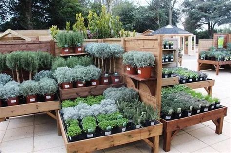 Plant Nursery Design Ideas - G4rden Plant