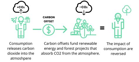 How carbon offsetting can benefit your company’s reputation and CSR ...