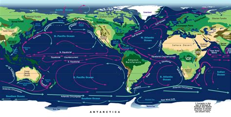 Biomes and Currents of the World - JohoMaps