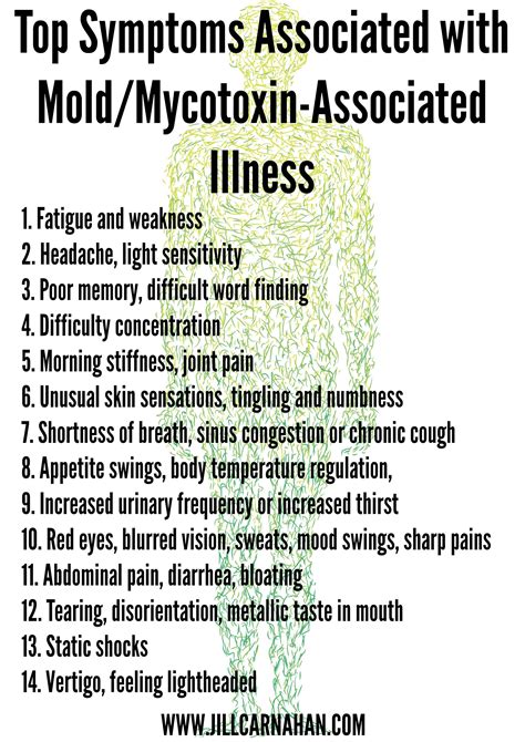 Is Toxic Mold Exposure the Cause of Your Symptoms? | Toxic Mold and ...