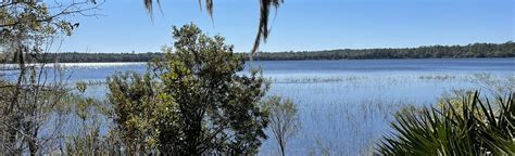 Magnolia Lake: 208 Fotos - Florida | AllTrails