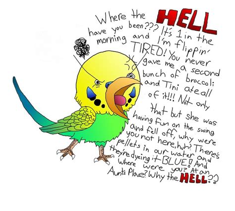 The Angry Budgie by kurochihiro33 on deviantART