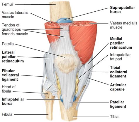 Meniscal cyst & parameniscal cyst causes, symptoms, diagnosis & treatment