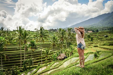 Tickets Tegalalang Rice Terrace - Ubud | Tiqets.com