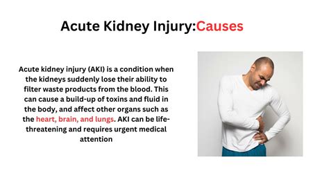 PPT - Acute Kidney Injury Causes To Treatment, All You Need To Know ...