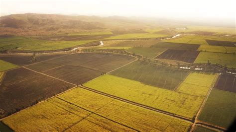 Agriculture in Ethiopia | Bill Gates