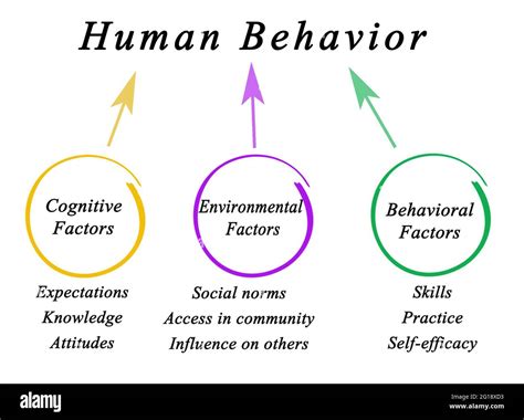 Three Determinants of Human Behavior Stock Photo - Alamy