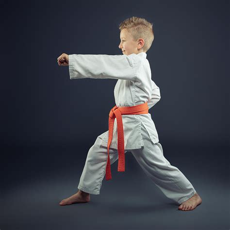 Portrait Of A Child With A Kimono Practicing Karate Photograph by ...