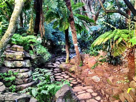 South Africa: Cape Town Botanical Garden