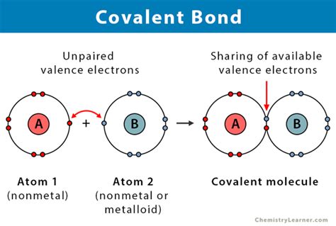 Covalent Bond: Definition, Types, and Examples