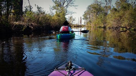 Kayaking the Okefenokee Swamp | Adventure tours, Kayak tours, Kayaking