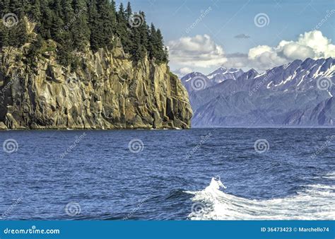 Wildlife Cruise Around Resurrection Bay Stock Image - Image of ocean ...