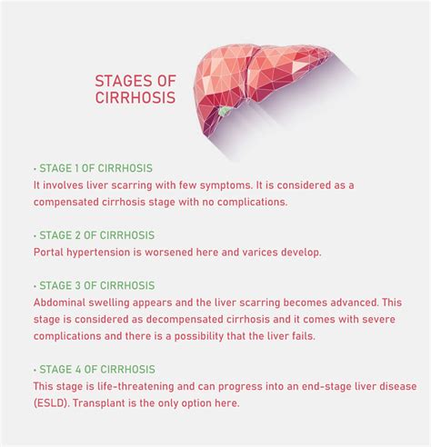 Liver Cirrhosis 2nd Stage