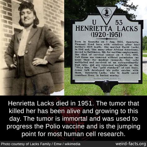 The immortal life of henrietta lacks quotes - apohp