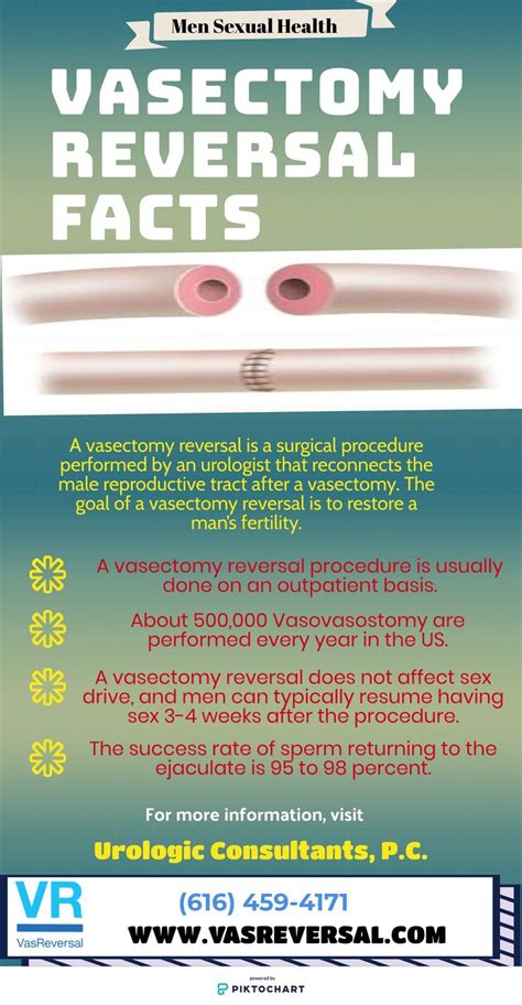 male vasectomy doctors near me - Luba Rau