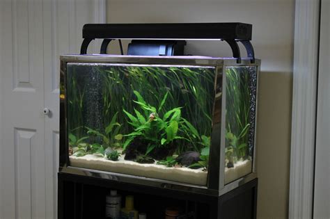 20 Gallon Fish Tanks & Aquariums for Sale - Aquatics World