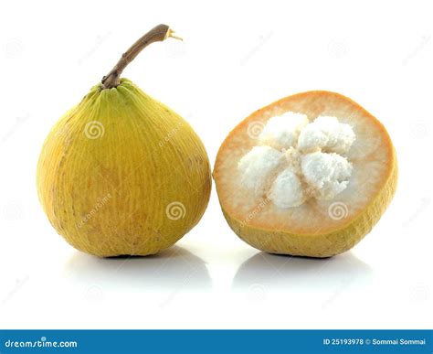 Santol Fruit Royalty Free Stock Photos - Image: 25193978