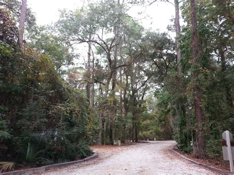 Blythe Island Regional Park in Brunswick Georgia GA | Campground Views