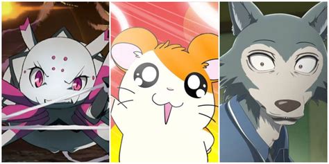 10 Best Anime With Animal Protagonists, Ranked