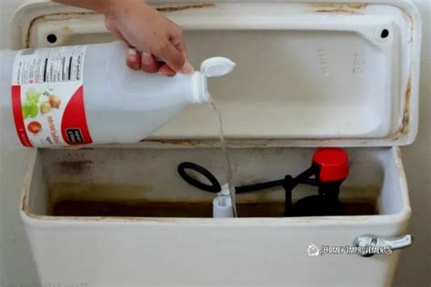 How to Clean a Toilet Tank and Keep it Clean?