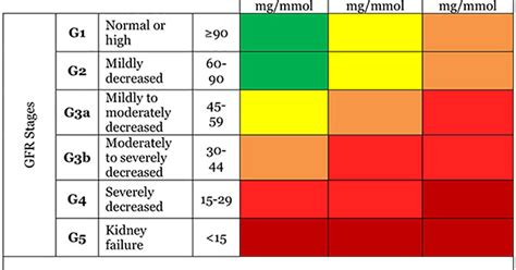 Glomerular Filtration Rate (GFR) | National Kidney Foundation