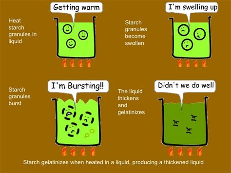 Carbohydrates; gelatinisation and modified starch