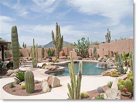 Desert oasis Arizona Backyard Landscaping, Desert Backyard, Desert ...