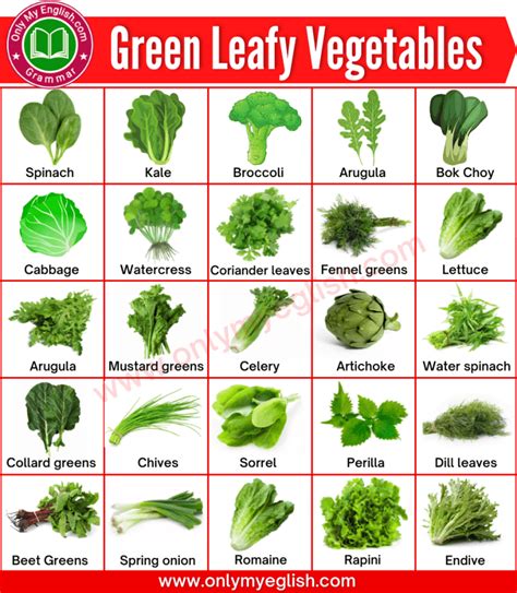 Green Leafy Vegetables With Names