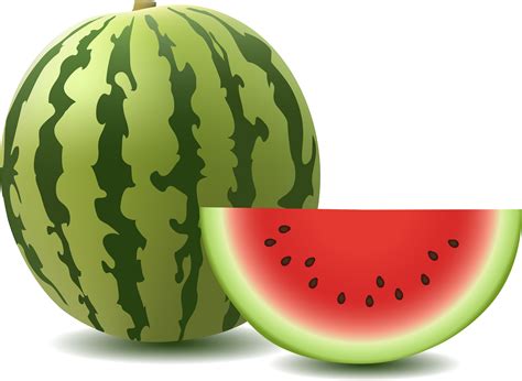 Watermelon PNG Image | Watermelon, Watermelon day, Watermelon vector