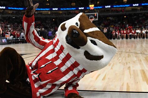 Wisconsin mascot tales: Life as Bucky Badger, from pushups to antics to ...