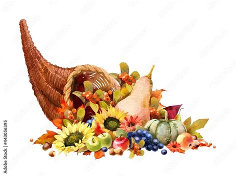 Watercolor Fall Cornucopia clipart. Autumn Harvest Clip Art ...