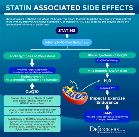 Statin Drug Side Effects: Symptoms and Support Strategies