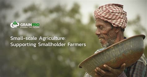 Small-scale agriculture: supporting smallholder farmers