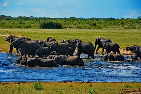 10 Best National Parks In Zimbabwe - Updated 2021 | Trip101