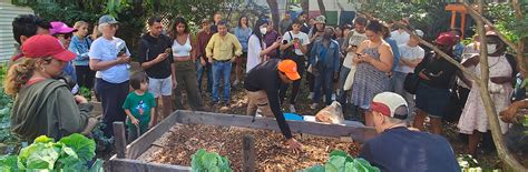 Gardening : NYC Parks