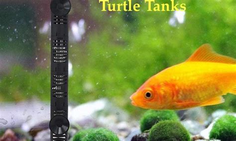 7 Best Submersible Water Heater for Turtle Tanks - Ultimate Buying Guide