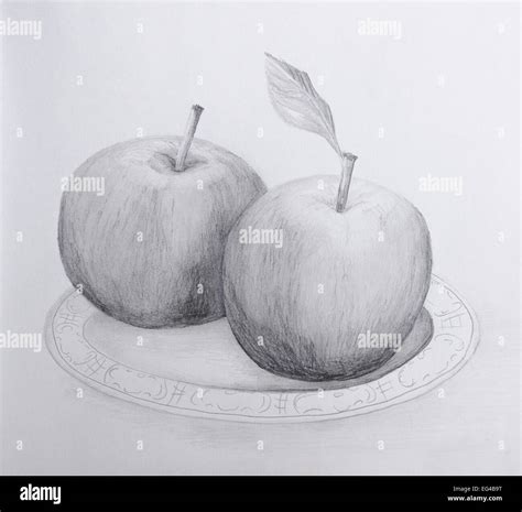 Apple Pencil Drawing Outline