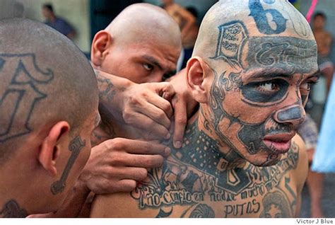 Gangs without borders / Violent Central American gangs were born in the ...