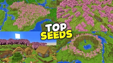 Top 4 Cherry Blossom Minecraft Seeds