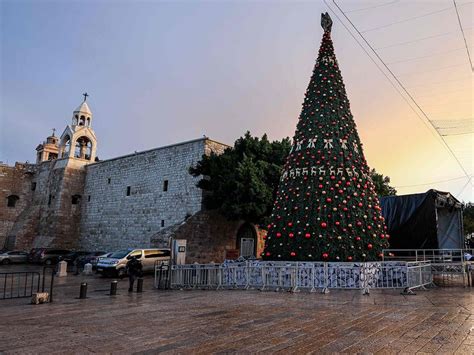 COVID -19: Christmas tree-lighting in Bethlehem a muted, virtual event ...