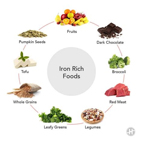 Iron Rich Foods – 8 Foods to Add to Your Iron Diet | My Quality Fit