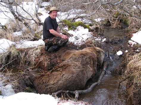 Kodiak Brown Bear Hunting - Jake Jefferson - Black River Hunting