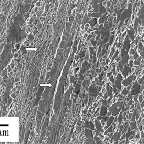 Ferrite grain size variation observed in the inter-critically deformed ...