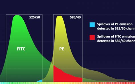 Compensation in Flow Cytometry - FluoroFinder