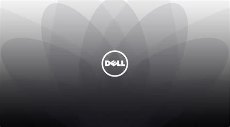 Dell Logo Wallpapers - Wallpaper Cave