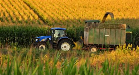 Why Is Truck Farming Important? A Complete Breakdown